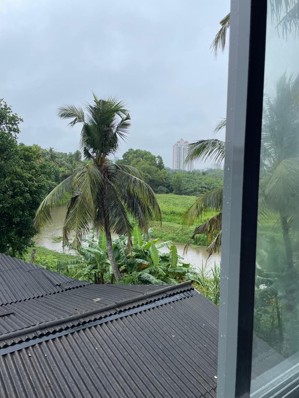 Tranquil waterway and tropical greenery view through the window